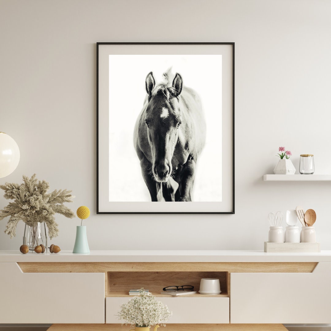 Black and White Horse Foal Photo Digital Download Print Quarter Horse ...