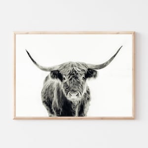 Highland Cow Digital Photo | Digital Download | Shaggy Cow Photo | Farm Décor | Nursery Décor | Farm Kitchen Wall Art | Black & White Cow
