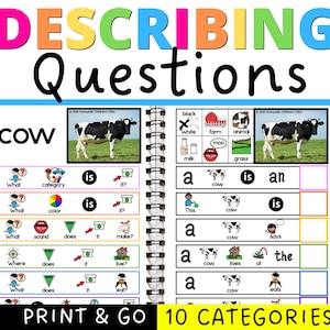 Preguntas de WH: descripción y categorización / Actividades de terapia del habla / Recursos para el autismo / Educación especial / CAA y ABA / Fotos reales
