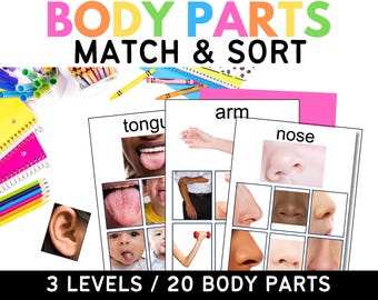 May include: Educational resource with the text "BODY PARTS MATCH & SORT". The image shows flashcards with body parts like the tongue, arm, and nose. Colorful pencils, markers, and notebooks are in the background. The text "3 LEVELS / 20 BODY PARTS" is at the bottom.