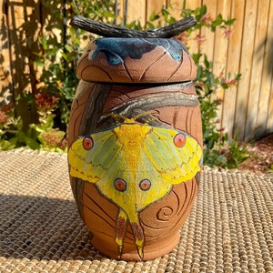 Ceramic Comet Luna Moth Jar, One of a Kind Handmade and Sgraffito Carved on Speckled Red Clay, Glazed and Underglaze Painted