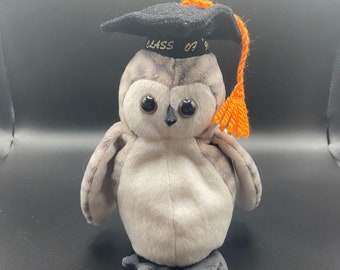 Vintage TY wiser the owl class of ‘99 beanie baby, vintage beanie babies, vintage plushies, owl stuffed animals, owl decor