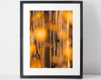 Fall colors Wall Art, Forest Fine Art Prints, Moody Wall Art Print, Nature Wall Decor, Autumn Photography, Orange Colors home design