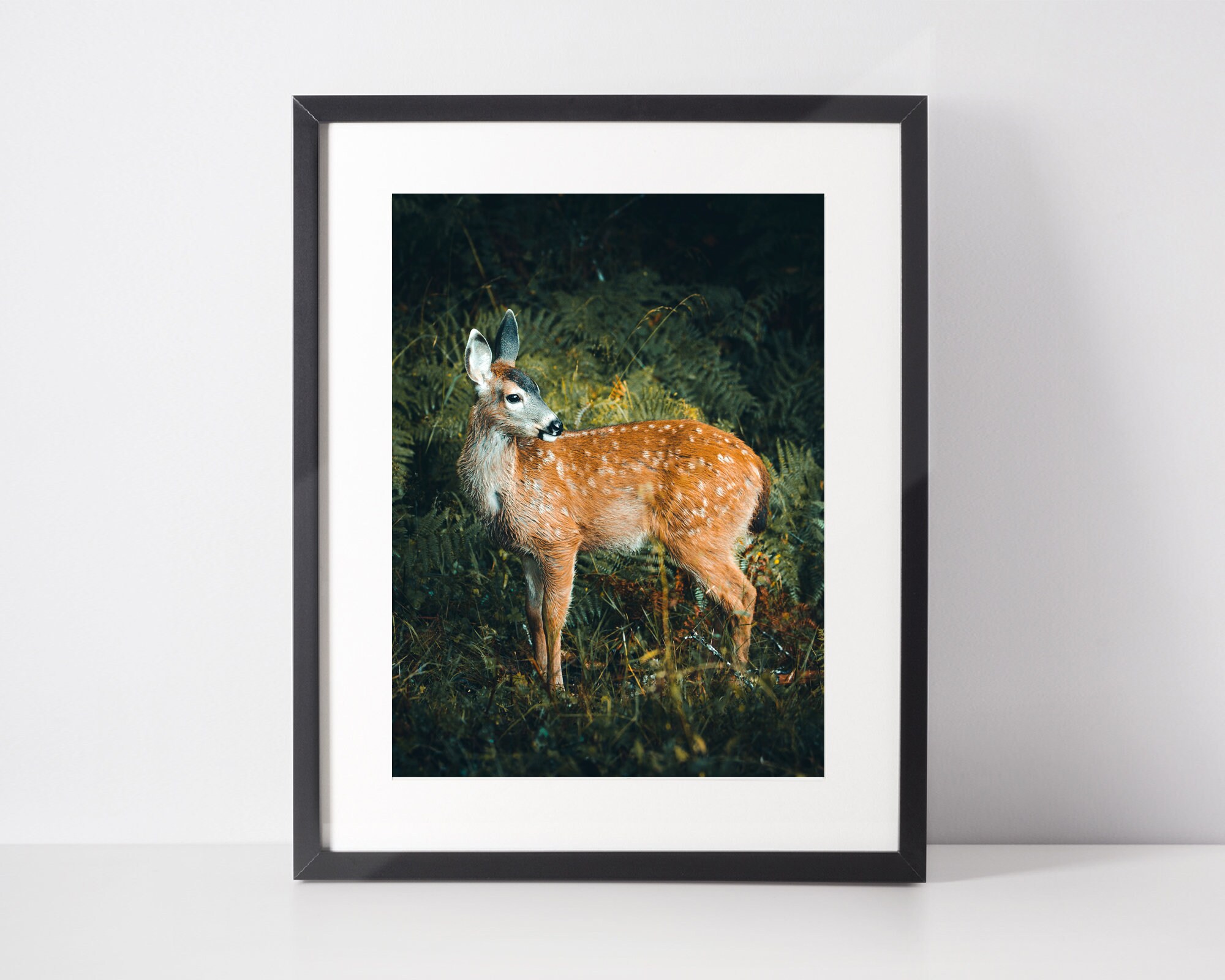 Faon Sauvage, Photo d'art d'animaux, Tirage Mural, Décoration Murale d'animaux Poster de Nature Pour
