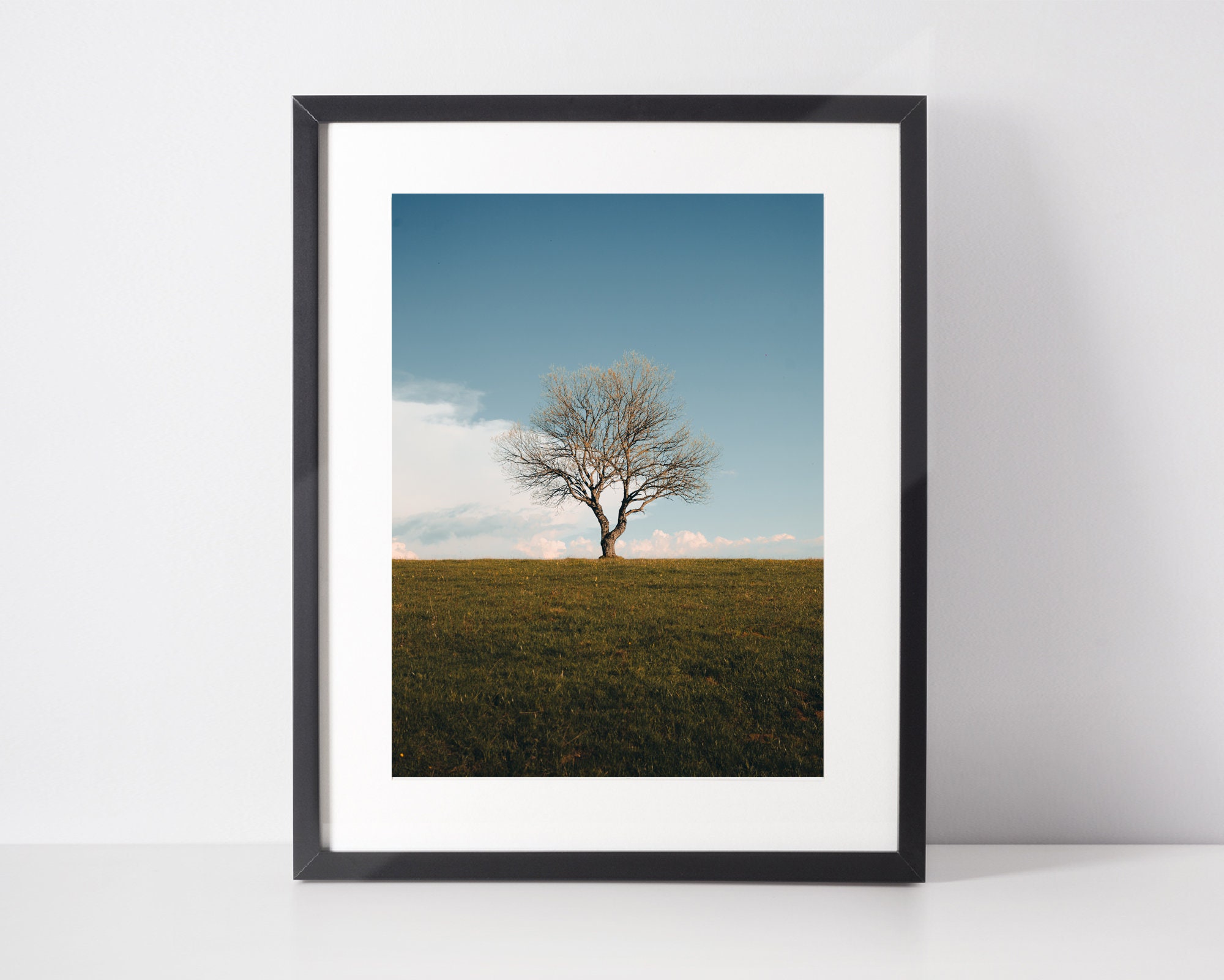 Minimalist Wall Art, Fine Art Prints, Tree Print, Modern Scandinavian Decor, Spring Photography, Hom