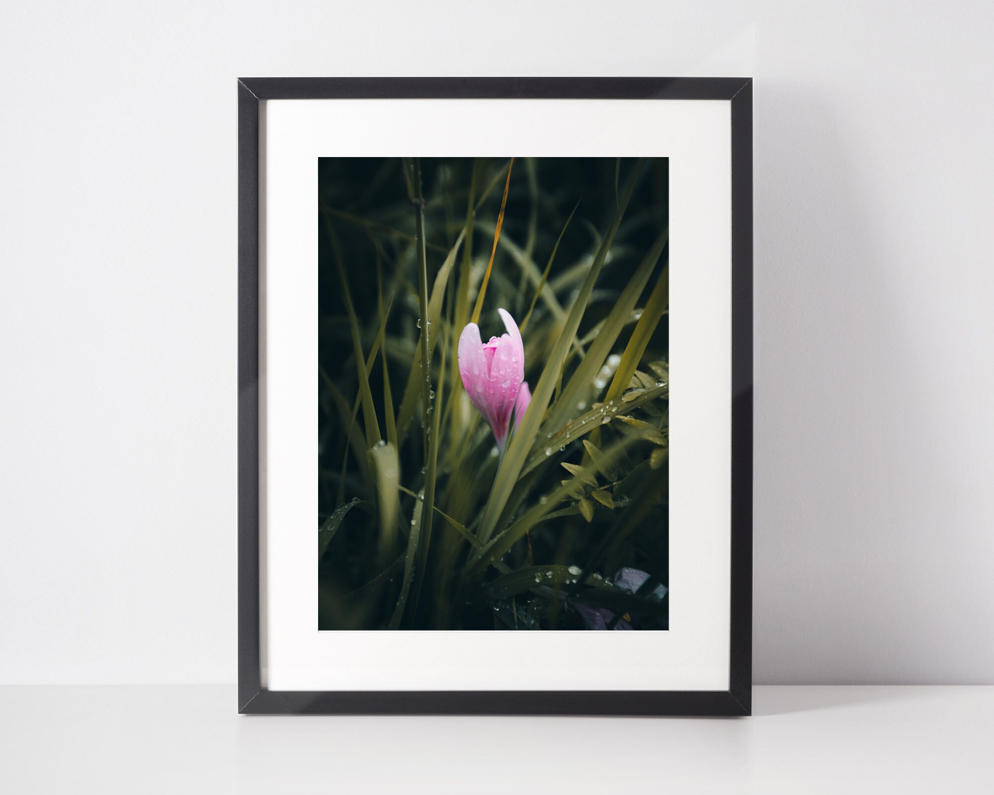 Tirage d'art Fleur Rose, Printemps, Photo Pour Chambre d'enfant, Nature Wall Decor, Macro Photograph