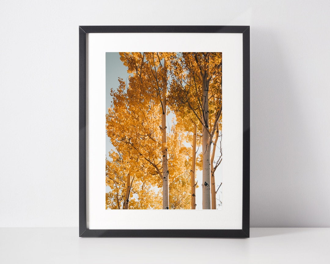 Fall Colors Wall Art, Forest Fine Art Prints, Moody Wall Art Print