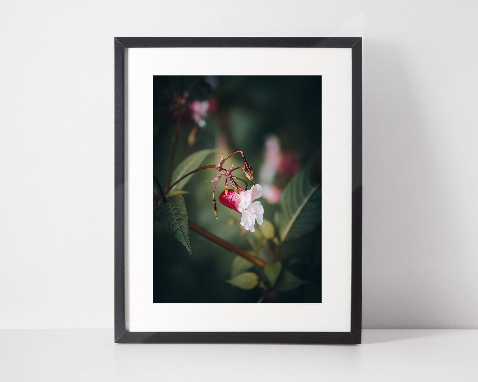 Tirage d'art Orchidée, Printemps, Photo Pour Chambre d'enfant, Nature Wall Decor, Macro Photography,