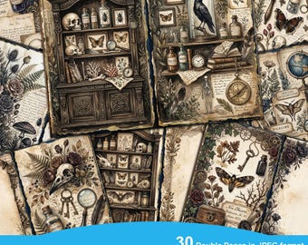 May include: A set of digital papers with a vintage cabinet of curiosities theme. The papers feature illustrations of antique cabinets, butterflies, skulls, and botanical elements. The text on the image reads "Cabinet of Curiosities" and "30 Double Pages in JPEG format Commercial Use High Resolution 21.6cm X 28cm".