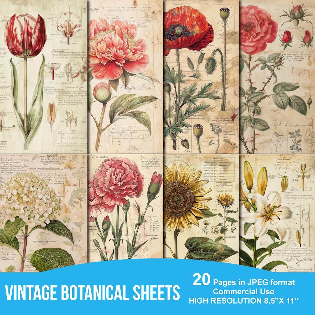 Vintage Botanical Sheets Junk Journal Printable Pages, Scrapbook ...