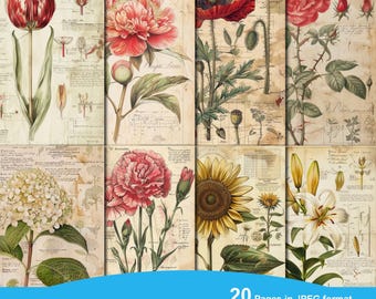 Vintage Botanical Sheets Junk Journal Printable Pages, Scrapbook Printable Kit, Printable Paper, Digital Collage, Instant Download