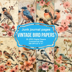 Bird Garden Junk Journal Pages, Bird Ephemera, Scrapbook printable, Printable Paper, Digital Collage, Spring Pages, Digital Collage