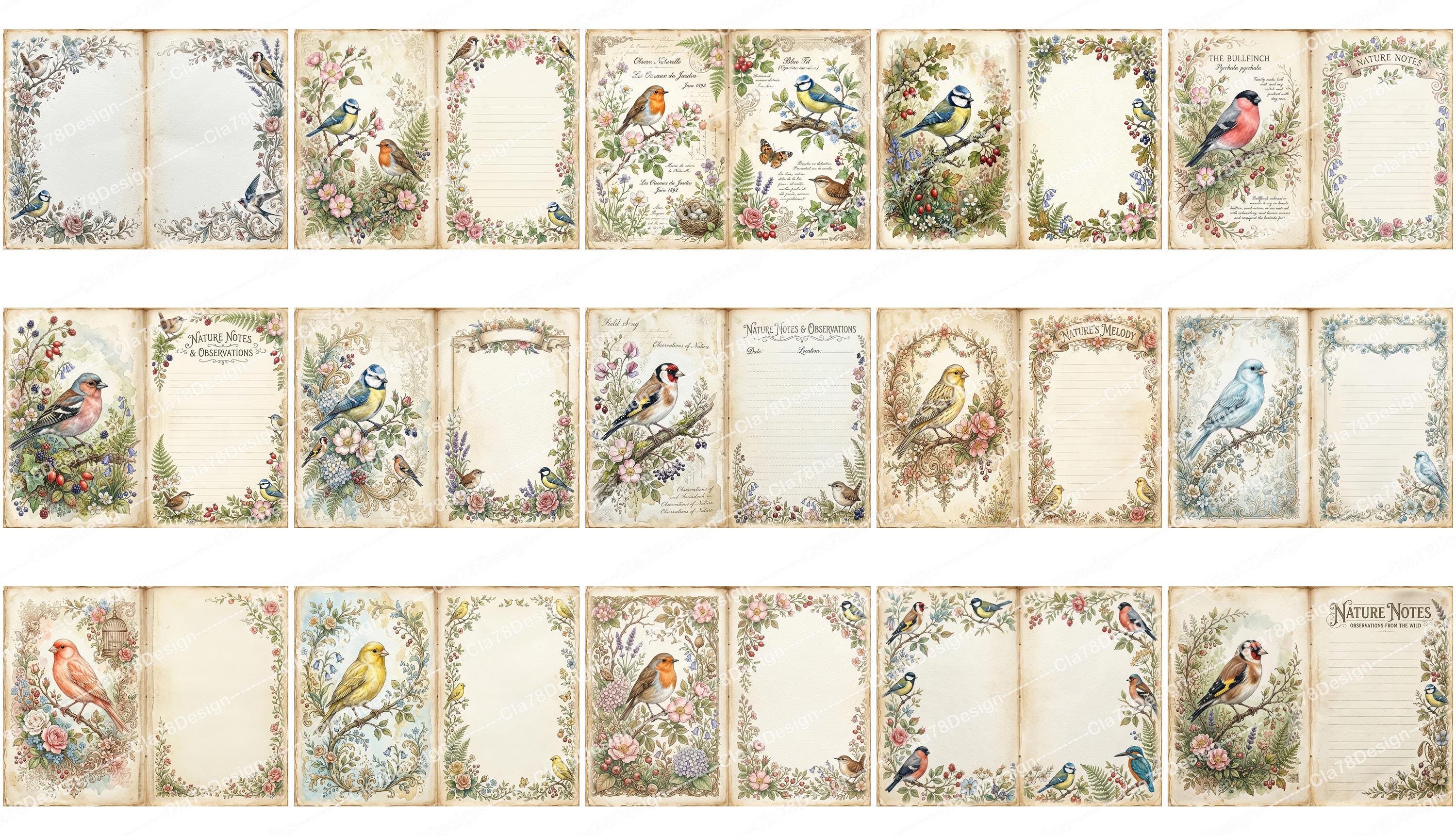 Vintage Birds Garden Junk Journal Double Pages, Nature's Journal Papers ...