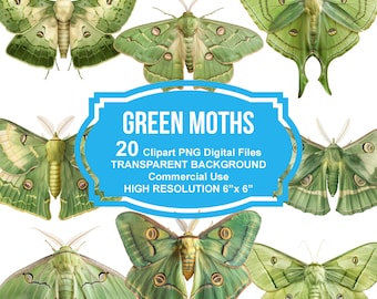 Clipart de polilla verde: ilustraciones digitales de polillas en formato PNG, descarga instantánea para uso comercial, alta resolución, cortes precisos.