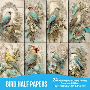 Bird Garden Junk Journal Half Papers, Bird Ephemera, Afdrukbaar plakboek, Afdrukbaar papier, Digitale collage, Lentepagina's, Digitale collage