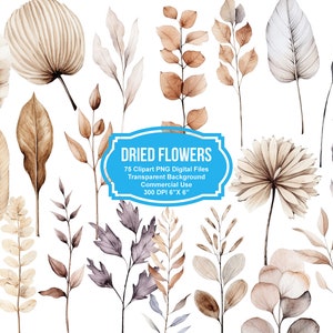 75 Watercolor Wild Flowers PNG Cliparts - Minimalist Flowers Watercolor - Ikebana Clipart - Elegant Blooms, Fussy Cuts