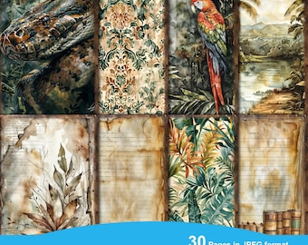 Może przedstawiać: Zestaw 30 cyfrowych papierów z ilustracjami o tematyce dżungli. Papiery zawierają obrazy węża, papugi, roślin tropikalnych i stron w stylu vintage z liniami. Papiery są w wysokiej rozdzielczości i mają rozmiar 21,6 cm x 27,9 cm.