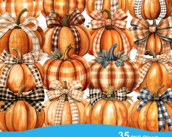 Fall Pumpkin Clipart, Watercolor Pumpkin PNG Bundle, Coquette Pumpkins Clipart, Autumn Bow PNG, Gingham Pumpkin Art, Thanksgiving Graphics