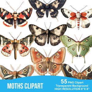 Peut inclure: Plusieurs illustrations de papillons de nuit colorés. Les papillons présentent divers motifs et couleurs, notamment du rouge, du noir, du blanc et du vert. L'image comprend le texte "MOTHS CLIPART".