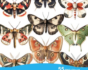 Vintage vlinder clipart - digitale vlinder illustraties in PNG clip art-formaat instant download, transparante achtergrond, kieskeurige sneden