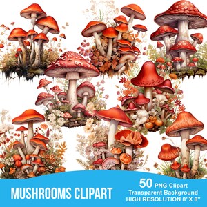 May include: A selection of colourful mushroom illustrations in different sizes and arrangements. The mushrooms have red caps with white spots, set against a backdrop of foliage and flowers. The text "MUSHROOMS CLIPART" is displayed at the bottom.