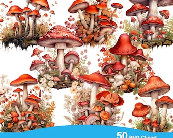 Mushrooms Watercolor Clipart Bundle - 50 PNG Forest Toadstool Graphics,Magical Nature Illustrations,Instant Digital Download,Commercial Use