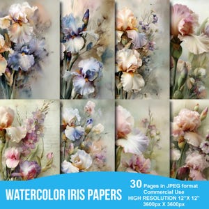 Könnte beinhalten: 30 digitale Papiere mit Aquarell-Illustrationen von Iris-Blumen in verschiedenen Schattierungen von Lila, Rosa und Weiß. Die Papiere sind 30,5 cm x 30,5 cm groß und haben eine hohe Auflösung von 3600 Pixel x 3600 Pixel.