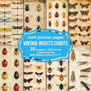 Insectario victoriano, páginas imprimibles de diario basura, kit imprimible de álbum de recortes, papel imprimible, collage digital, descarga instantánea