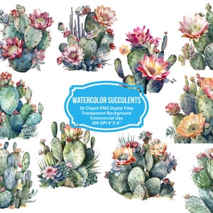 30 Watercolor Succulents Clipart  6&quot; x 6&quot; - Transparent Background Digital Download PNG Graphics - Commercial Use