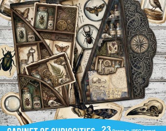 Op de afbeelding: Een digitale kunstfolio-kit getiteld "Cabinet of Curiosities" met illustraties in vintage-stijl. Het kunstwerk bevat insecten, sleutels, vergrootglazen en botanische elementen, met de tekst "23 pagina's in JPEG-formaat".