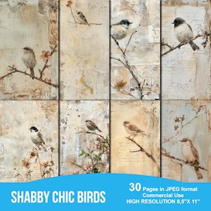 Shabby Chic Vogel- en Textielcollage Afdrukbare Junk Journal Digitale Papier Achtergrond Plakboek Ambachtelijke Kaart Decoupageboek Commercieel gebruik