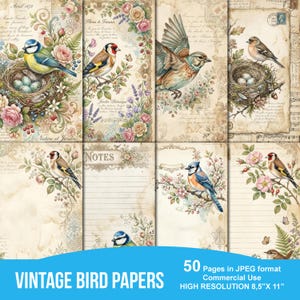 May include: A collection of vintage-style papers featuring illustrations of birds, nests, and floral elements. The papers have a distressed, aged appearance with handwritten text and musical notes. The text "VINTAGE BIRD PAPERS" is displayed at the bottom. Each page is 8.5" x 11".