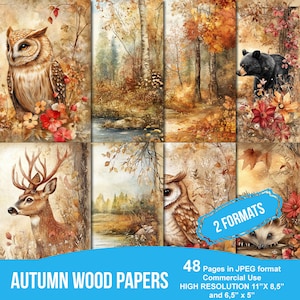 Könnte beinhalten: Eine Sammlung von Holzpapieren zum Thema Herbst mit Illustrationen einer Eule, eines Hirsches, eines Bären und Waldszenen. Die Papiere sind im JPEG-Format, hochauflösend und in zwei Größen erhältlich: 27,9 cm x 21,6 cm und 16,5 cm x 12,7 cm.