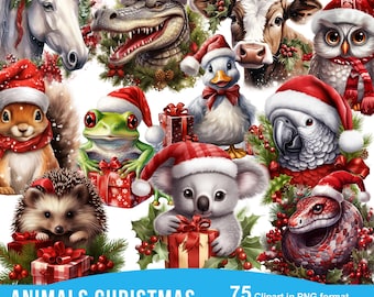 Winter Animals Clipart bundle, 75 PNG, Christmas Animal Graphics, Cute Holiday Animals Printables, Digital Download,Unlimited Commercial Use