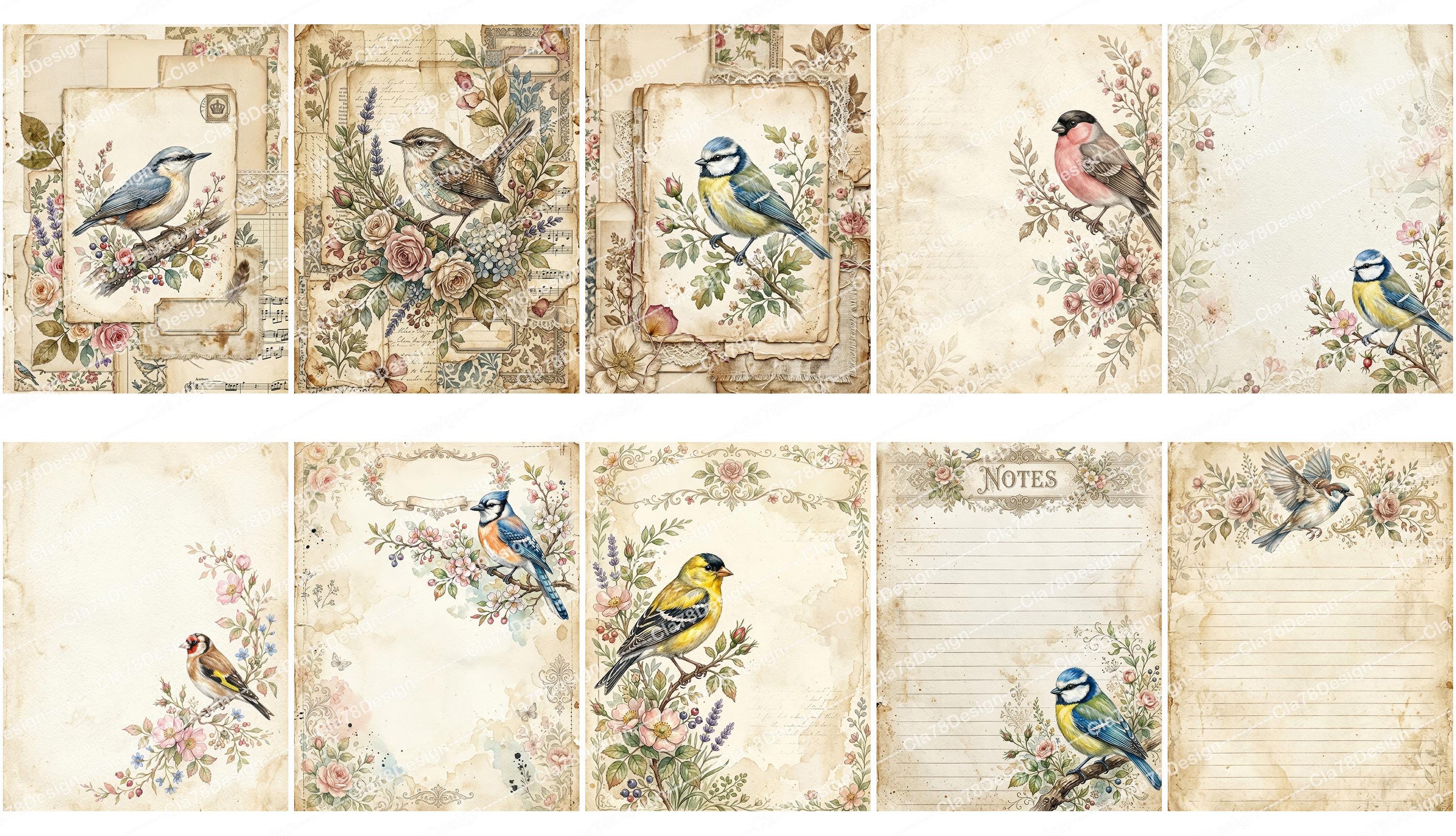Vintage Birds Garden Junk Journal Pages, Nature's Journal Papers ...
