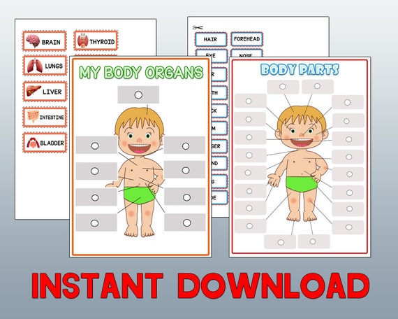 printable human body activity busy book body matching etsy ireland