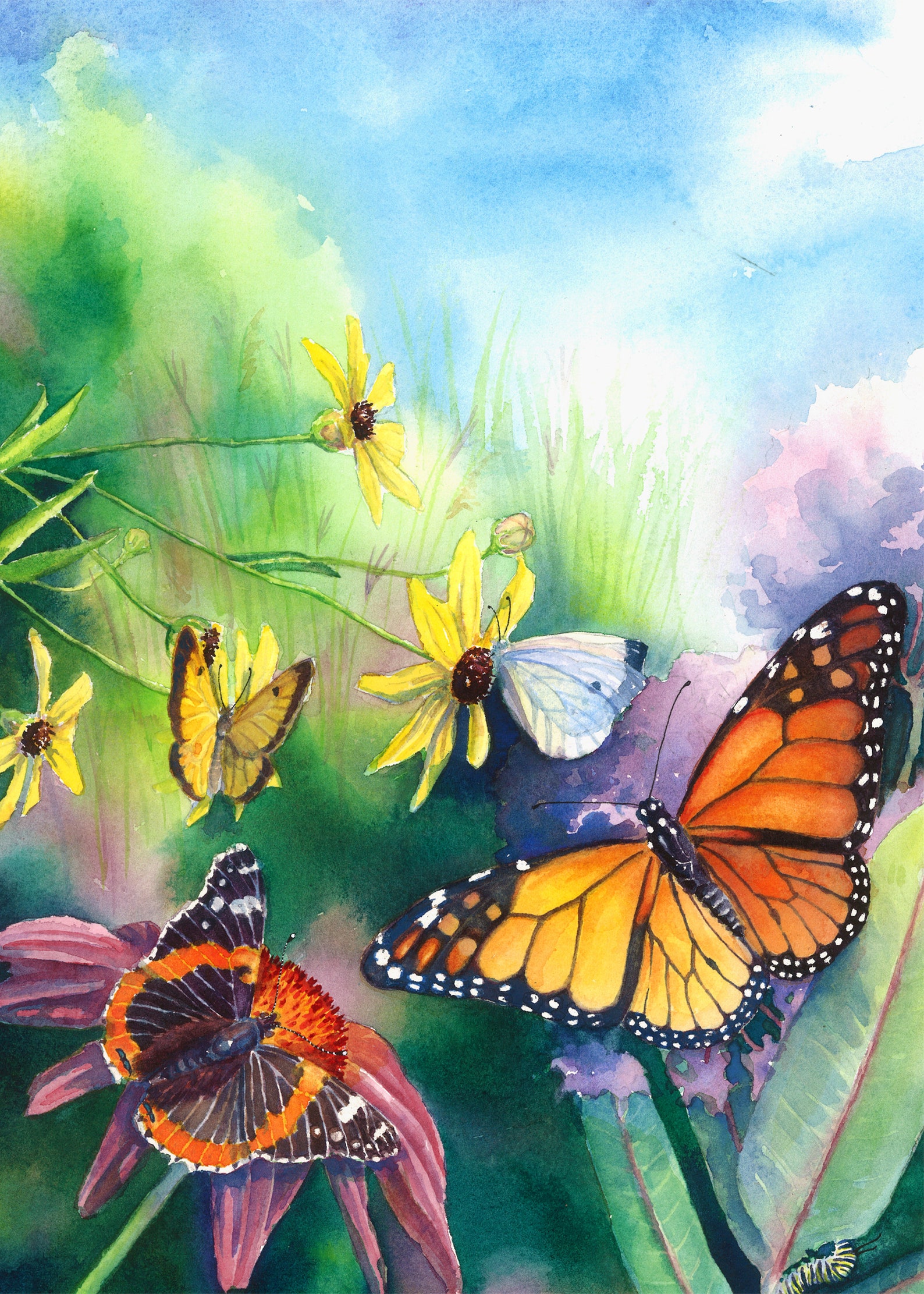 Artist's Best Greeting Card Collection 6 Cards Etsy