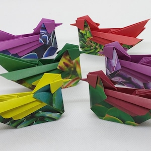6 Anatre Mandarine/ origami /fantasia piante grasse/ decorazione / idea regalo