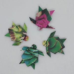 4 tartarugas de origami / plantas suculentas fantasia / ideia de presente / decoração / selo de embalagem