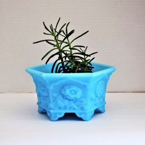 May include: A light blue ceramic planter with a floral design and four legs. A small green plant is growing inside the planter.