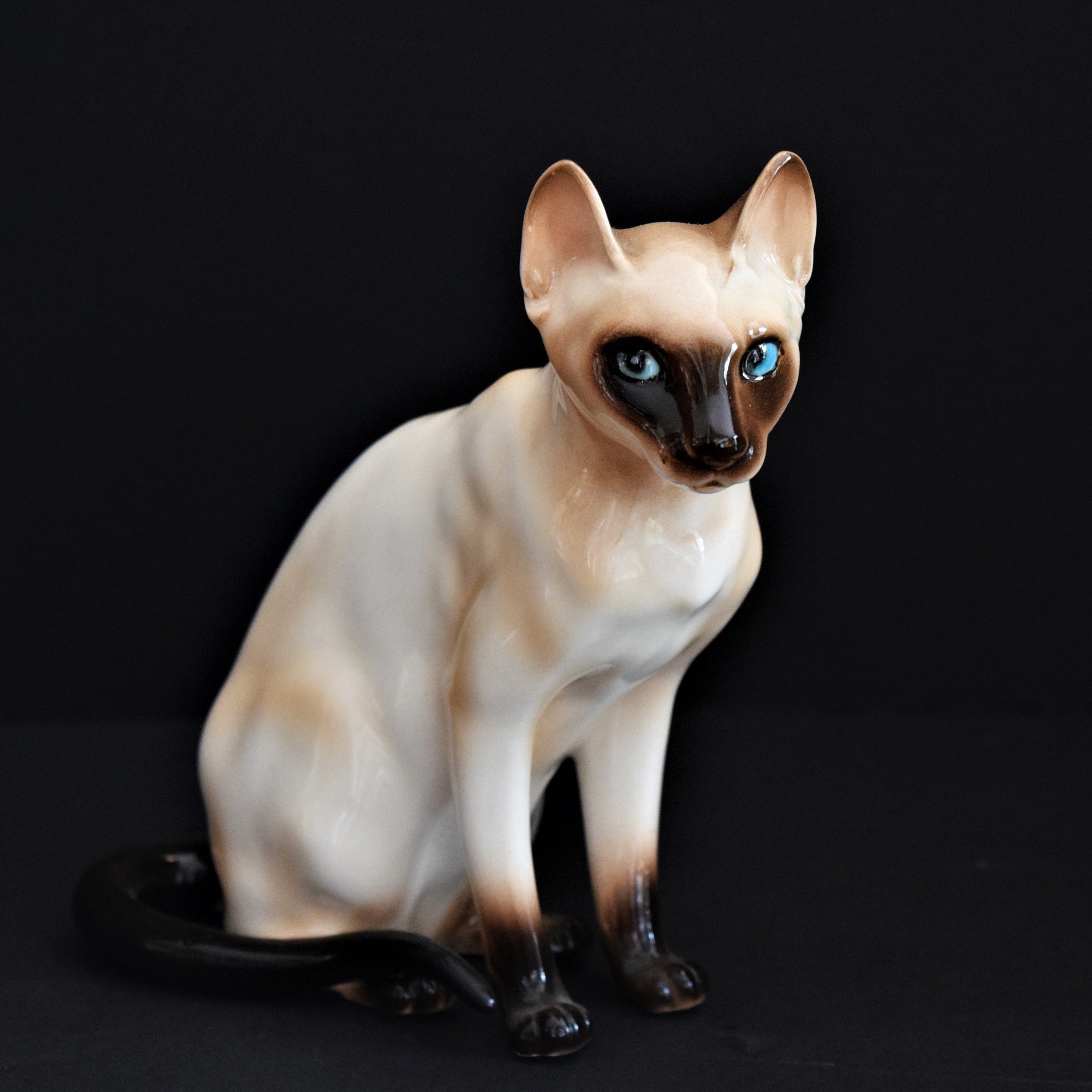 Chocolate point siamese cat sales