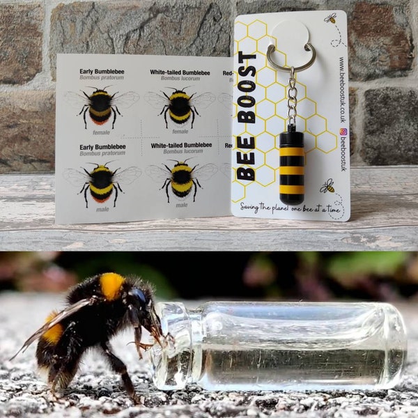 Bee saving keyring, help save a tired bee,Free UK shipping, Free bee identification card with every order.