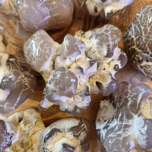 Agate peau de serpent