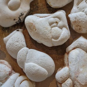 Può includere: Una collezione di sculture in ceramica bianca con varie forme e texture. Le sculture hanno un aspetto grezzo, non finito e sembrano essere realizzate a mano.