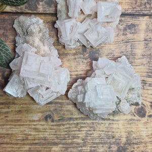 May include: Three clusters of pale pink halite crystals, with a cubic structure, are displayed on a wooden surface. The crystals have a rough, textured appearance. Green leaves with white veins are in the upper left corner.