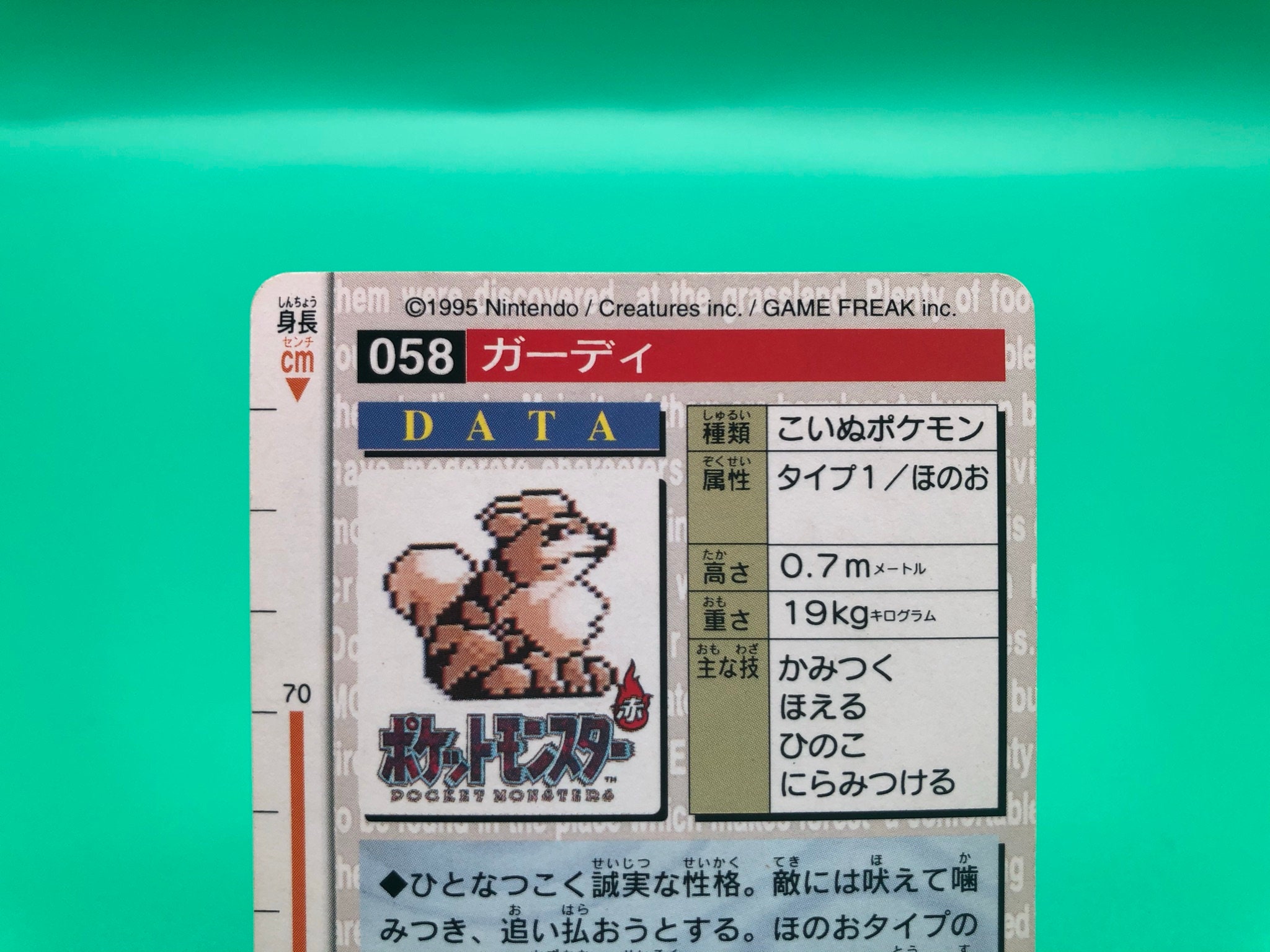 Growlithe Pokemon Card Carddass Japanese Rare Vintage Bandai Etsy India