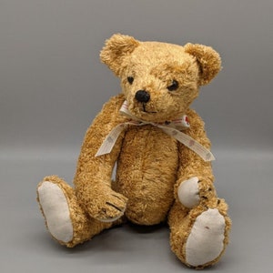 May include: A traditional teddy bear with golden brown fur, a black nose, and a cream ribbon tied in a bow. The bear has cream-coloured paw pads and is sitting upright. A classic soft toy.