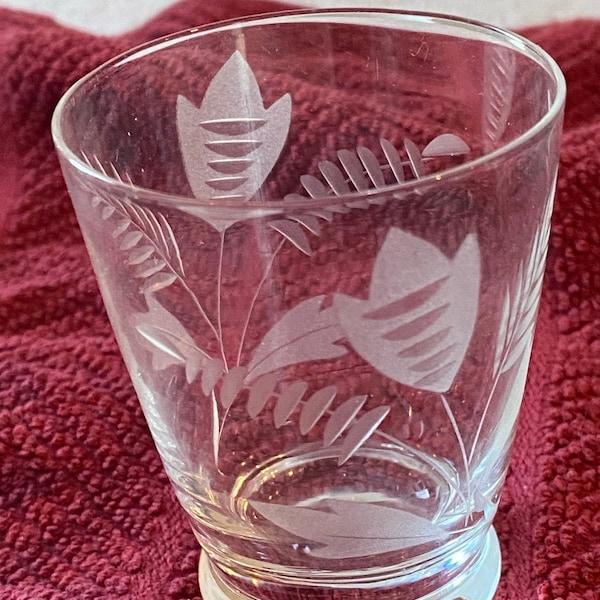 Princess House Shot Etsy