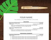 Classic Resume Template Instant Download, Traditional Resume Template, Bonus Resume Writing Tips