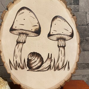 Mushrooms & Snail